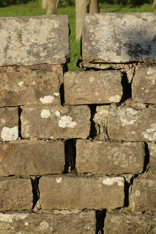Stone Wall Repair in Homestead, FL
